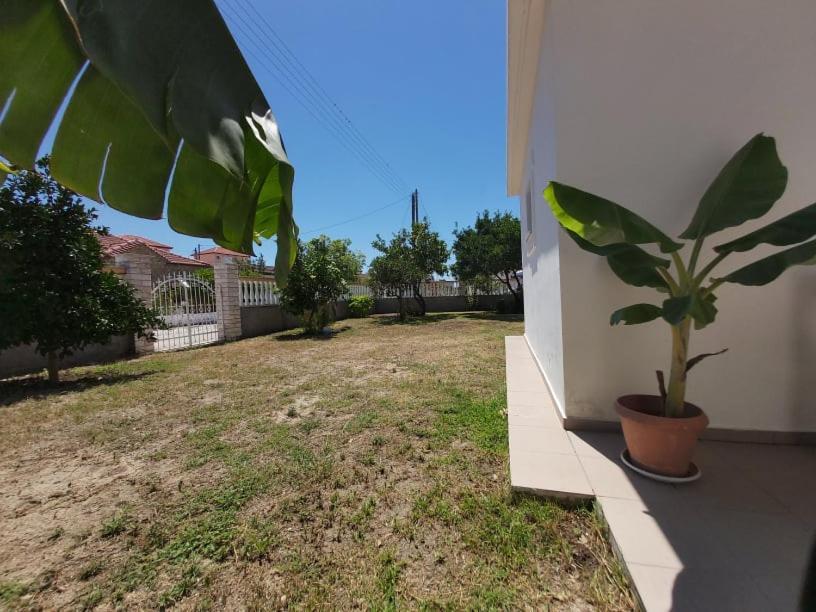 Konstantinos Apartments Ammoudia Ngoại thất bức ảnh